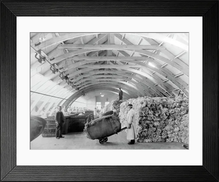 Framed Print : Raw wool being sorted at a woollen mill in Bradford Framed Print : Raw wool being sorted at a woollen mill in Bradford