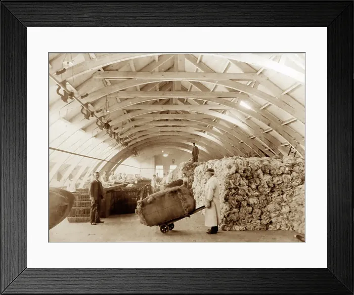 Framed Print : Raw wool being sorted at a woollen mill in Bradford Framed Print : Raw wool being sorted at a woollen mill in Bradford
