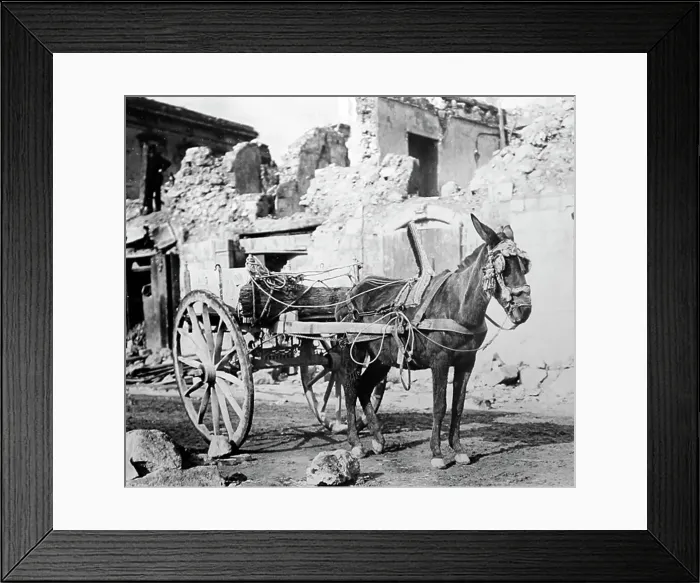 Framed Print : Messina, Sicily, Italy in 1910 Framed Print : Messina, Sicily, Italy in 1910