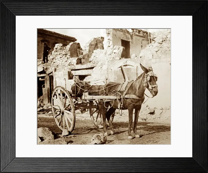 Framed Print : Messina, Sicily, Italy in 1910 Framed Print : Messina, Sicily, Italy in 1910