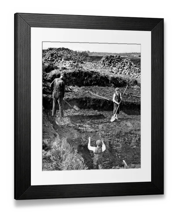 Framed Print : Peat cutting in North West Ireland Victorian period Framed Print : Peat cutting in North West Ireland Victorian period
