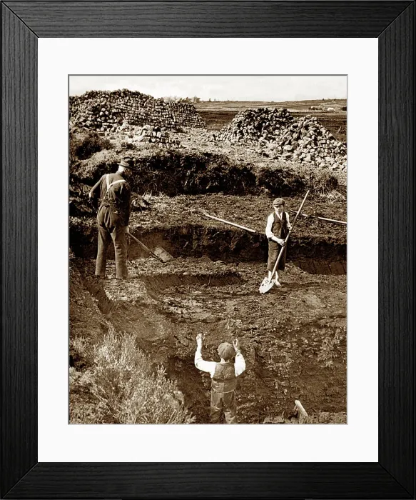 Framed Print : Cutting peat in Ireland, Victorian period Framed Print : Cutting peat in Ireland, Victorian period