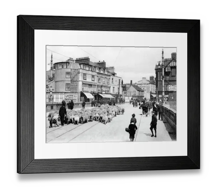 Framed Print : Exeter Exe Bridge early 1900s Framed Print : Exeter Exe Bridge early 1900s
