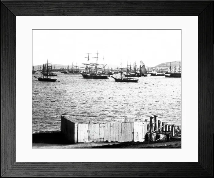Framed Print : Falmouth Harbour, Victorian period Framed Print : Falmouth Harbour, Victorian period