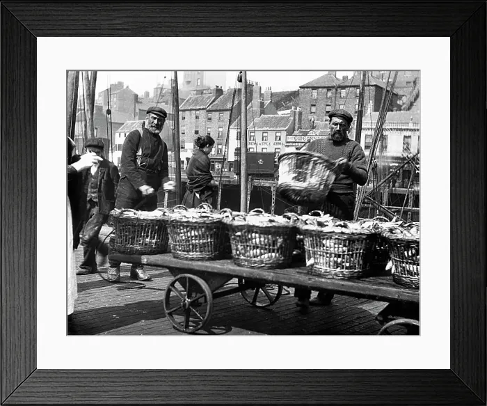 Framed Print : North Shields Landing the Herring early 1900s Framed Print : North Shields Landing the Herring early 1900s