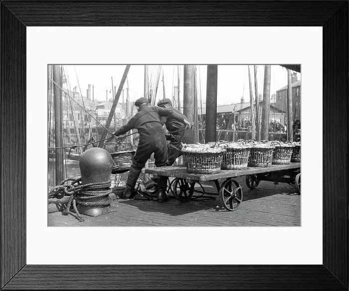Framed Print : North Shields Landing the Herring early 1900s Framed Print : North Shields Landing the Herring early 1900s