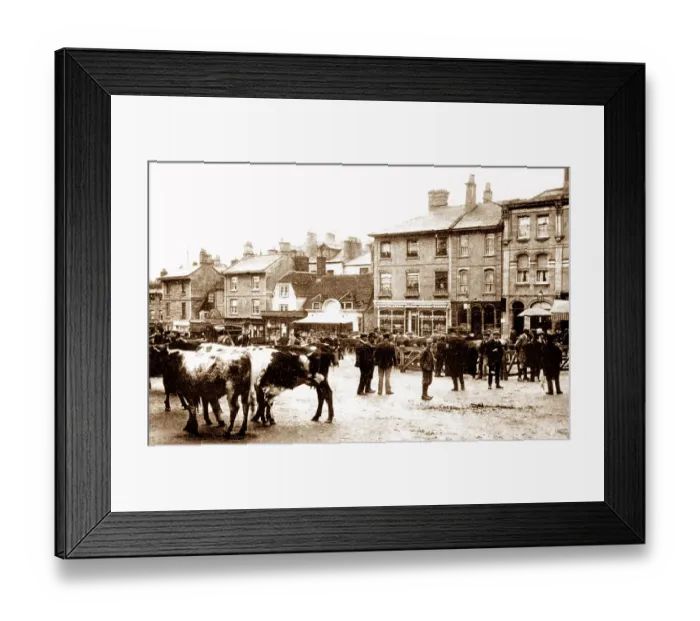 Framed Print : The Market, Chippenham early 1900's Framed Print : The Market, Chippenham early 1900's