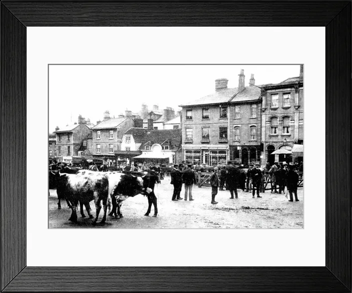 Framed Print : Chippenham Market early 1900s Framed Print : Chippenham Market early 1900s