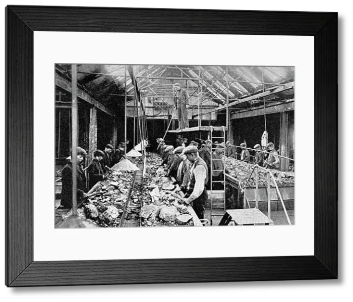 Framed Print : South Shields Coal Picking early 1900s Framed Print : South Shields Coal Picking early 1900s