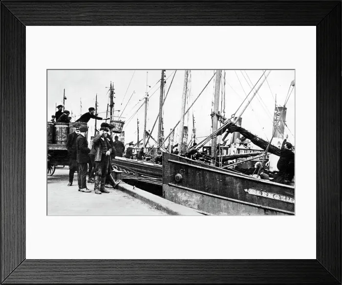 Framed Print : Herring boats, Blyth Northumberland early 1900's Framed Print : Herring boats, Blyth Northumberland early 1900's
