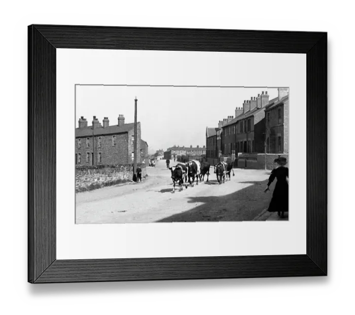 Framed Print : Wombwell Wath Road early 1900s Framed Print : Wombwell Wath Road early 1900s