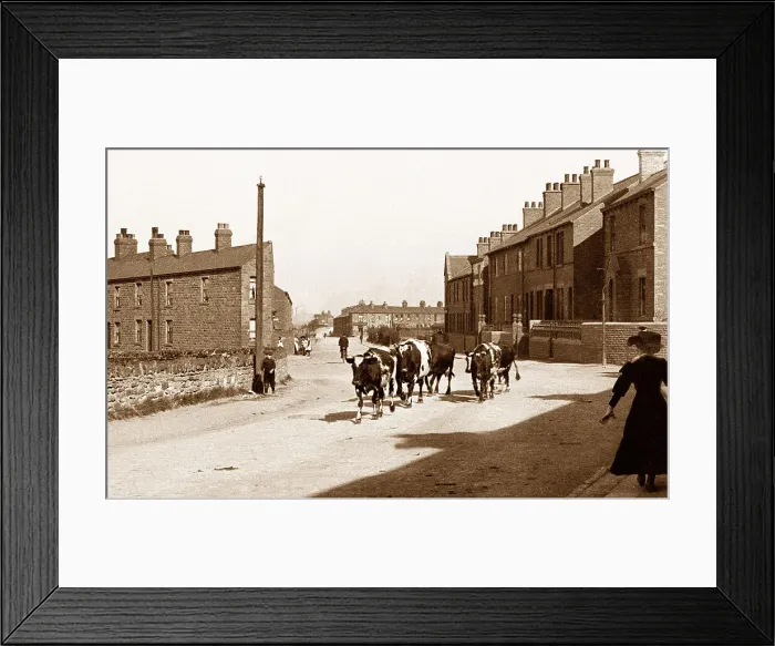 Framed Print : Wath Road, Wombwell