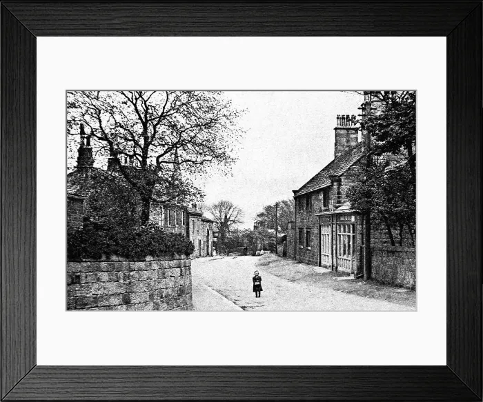 Framed Print : Bramhope Framed Print : Bramhope
