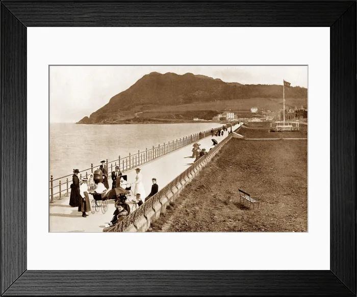 Framed Print : Esplanade, Bray Framed Print : Esplanade, Bray