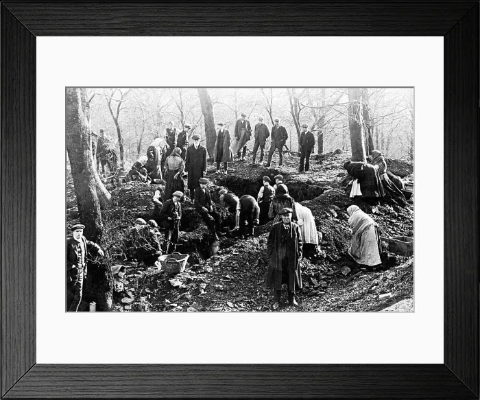 Framed Print : Wyke Coal Picking in Judy Wood early 1900s Framed Print : Wyke Coal Picking in Judy Wood early 1900s