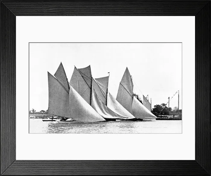 Framed Print : Racing yachts, Norfolk Broads Framed Print : Racing yachts, Norfolk Broads