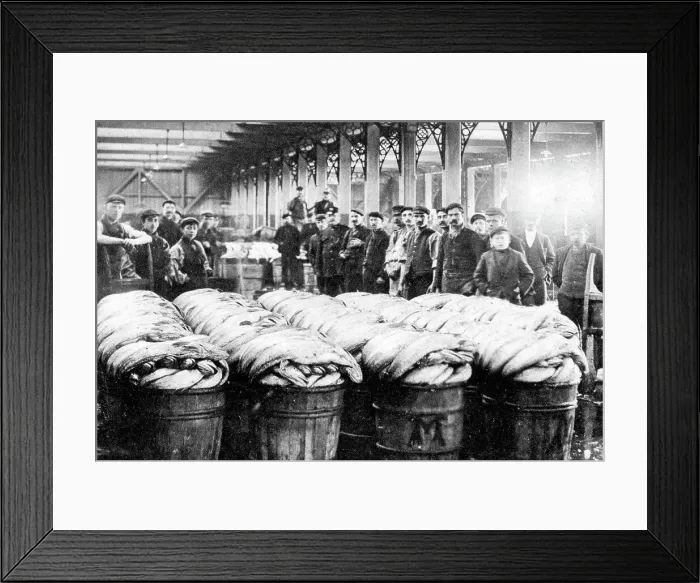 Framed Print : Swansea Fish Wharf Framed Print : Swansea Fish Wharf