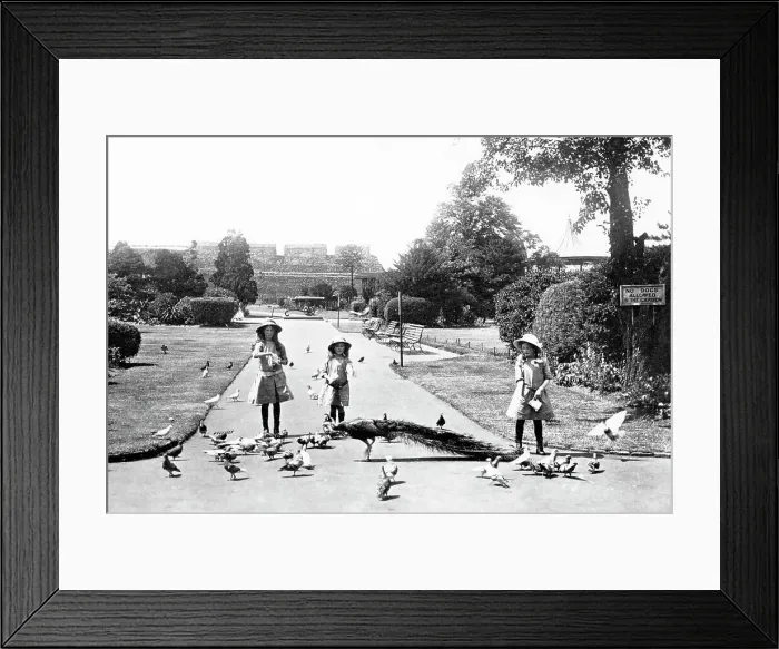 Framed Print : Rochester Castle Gardens early 1900s Framed Print : Rochester Castle Gardens early 1900s