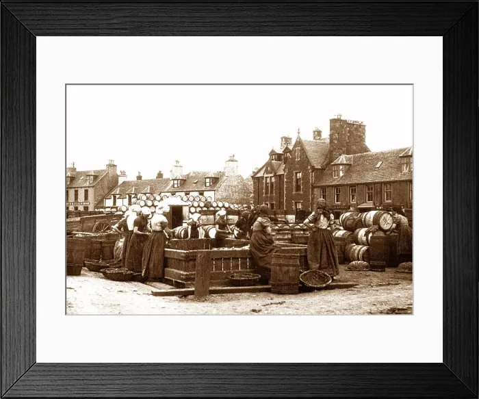 Framed Print : Gutting herring, Stornoway Isle of Lewis Framed Print : Gutting herring, Stornoway Isle of Lewis