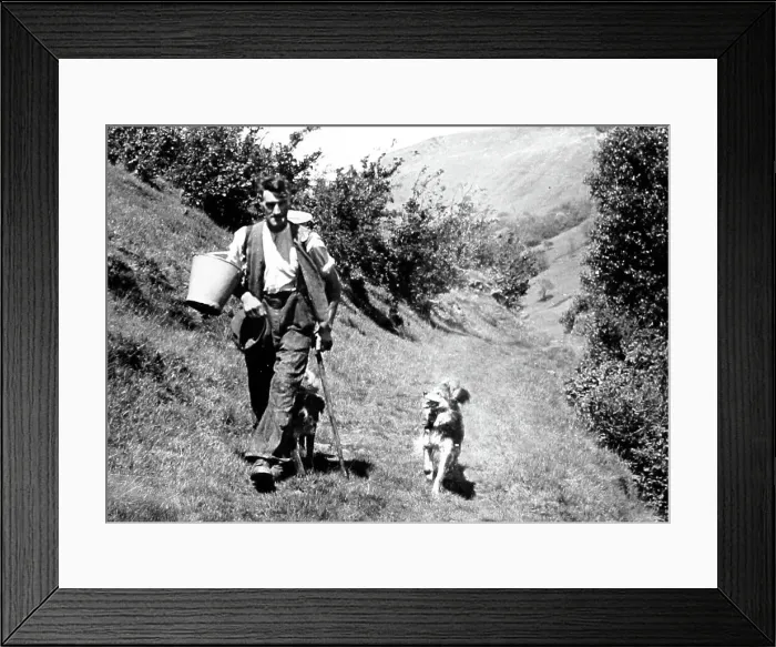 Framed Print : Farmer and dog, Swaledale, Yorkshire in the 1940 / 50s Framed Print : Farmer and dog, Swaledale, Yorkshire in the 1940 / 50s