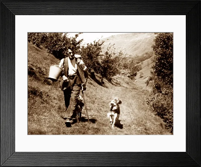 Framed Print : Swaledale farmer and dog Framed Print : Swaledale farmer and dog