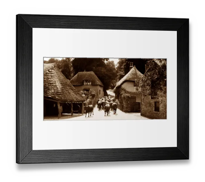 Framed Print : Cockington Forge and village, Victorian period Framed Print : Cockington Forge and village, Victorian period