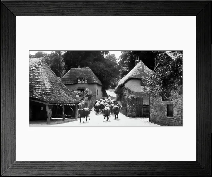 Framed Print : Cockington Forge and village, Victorian period Framed Print : Cockington Forge and village, Victorian period