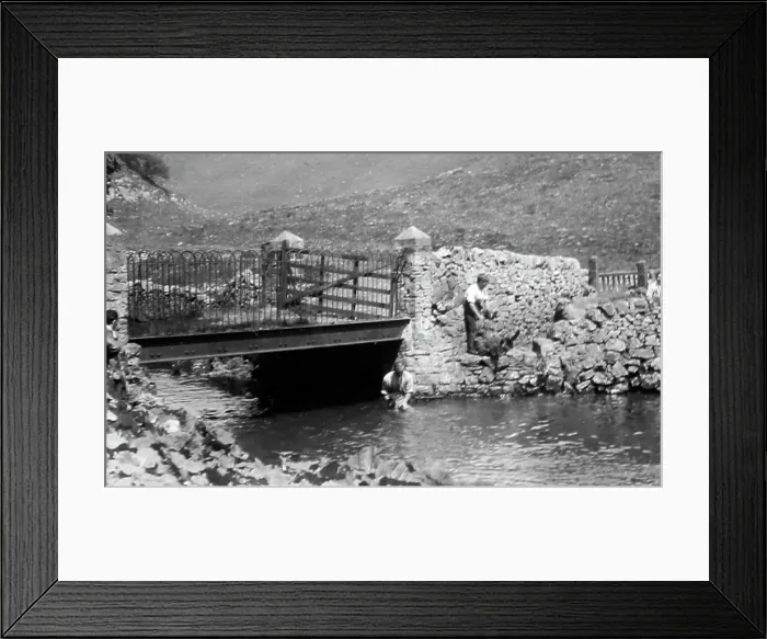 Framed Print : Sheep dipping in a river, early 1900s Framed Print : Sheep dipping in a river, early 1900s
