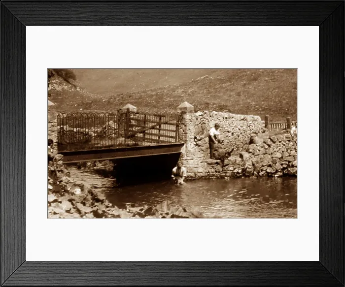 Framed Print : Sheep dipping in a river, early 1900s Framed Print : Sheep dipping in a river, early 1900s