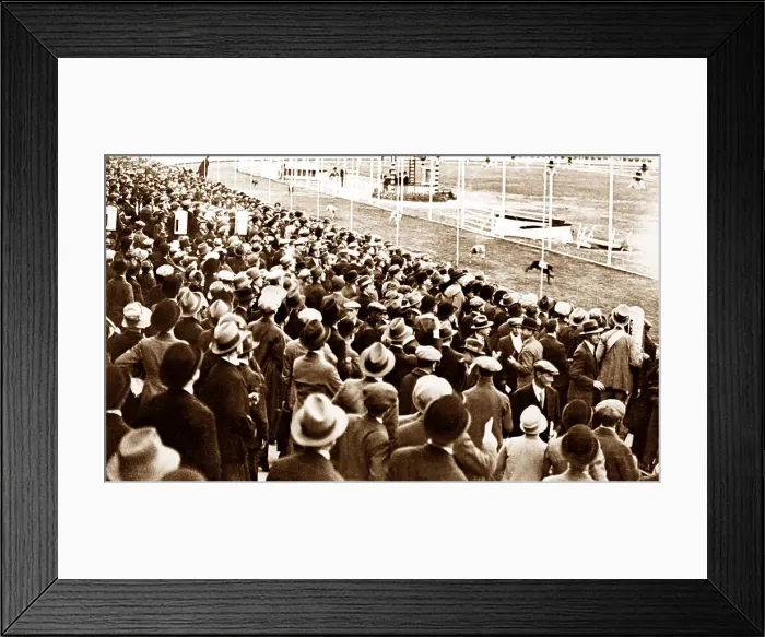 Framed Print : Greyhound racing track, early 1900s Framed Print : Greyhound racing track, early 1900s