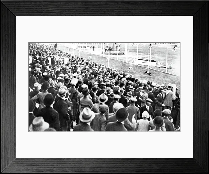 Framed Print : Greyhound racing track, early 1900s Framed Print : Greyhound racing track, early 1900s