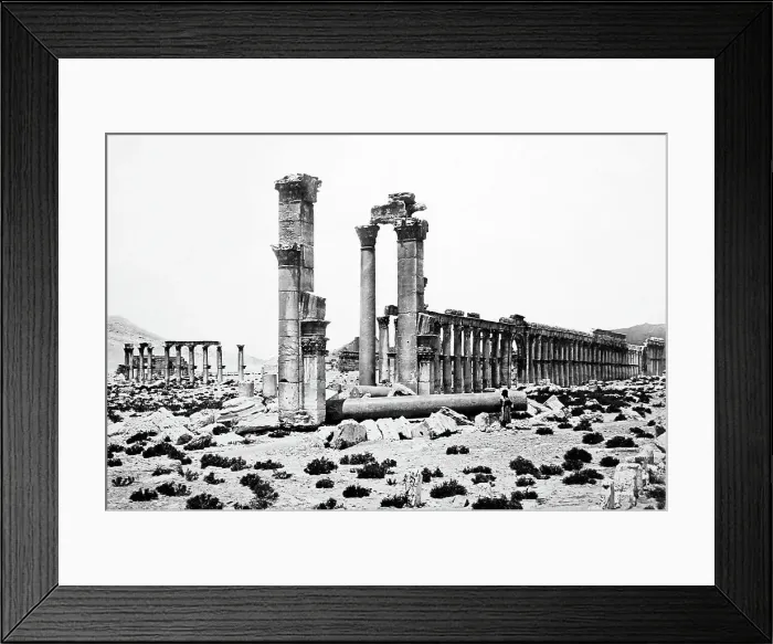 Framed Print : Palmyra Temple site, Syria, Victorian period Framed Print : Palmyra Temple site, Syria, Victorian period