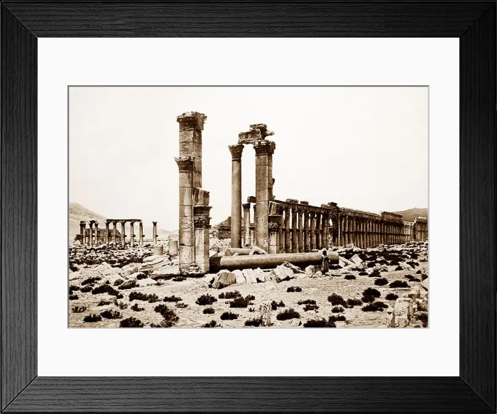 Framed Print : Palmyra Temple site, Syria, Victorian period Framed Print : Palmyra Temple site, Syria, Victorian period