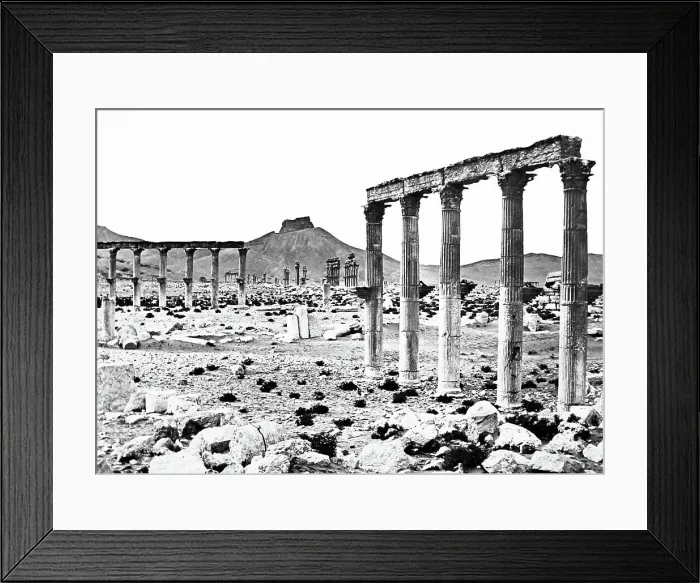 Framed Print : Palmyra Temple site, Syria, Victorian period Framed Print : Palmyra Temple site, Syria, Victorian period