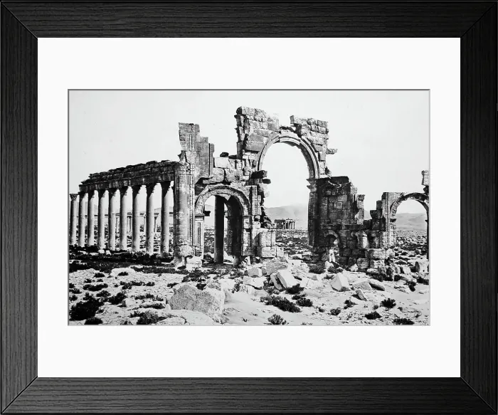 Framed Print : Palmyra Temple site, Syria, Victorian period Framed Print : Palmyra Temple site, Syria, Victorian period