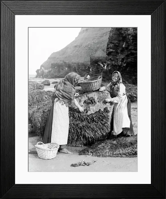 Framed Print : Gathering shellfish, Whitby, Victorian period Framed Print : Gathering shellfish, Whitby, Victorian period