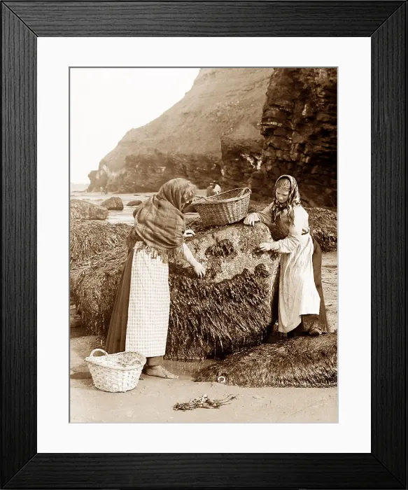 Framed Print : Gathering shellfish, Whitby, Victorian period Framed Print : Gathering shellfish, Whitby, Victorian period