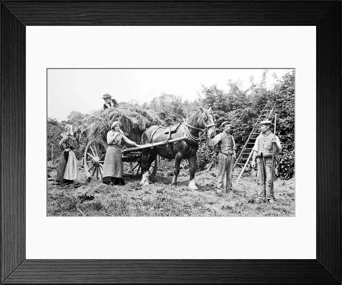 Framed Print : Rural idyll, England, Victorian period Framed Print : Rural idyll, England, Victorian period