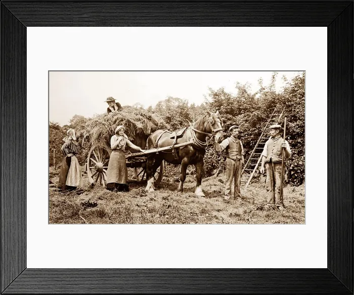 Framed Print : Rural idyll, England, Victorian period Framed Print : Rural idyll, England, Victorian period