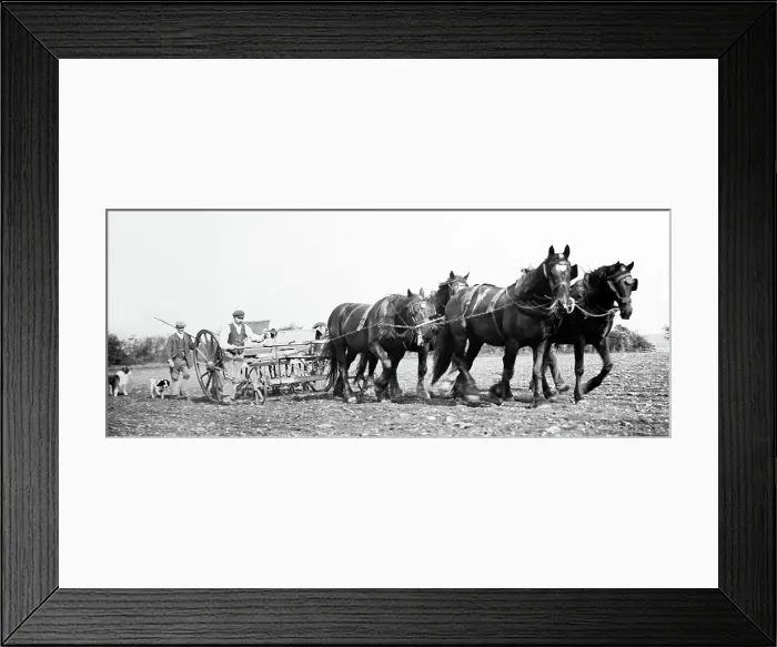 Framed Print : Rural idyll, England, Victorian period Framed Print : Rural idyll, England, Victorian period