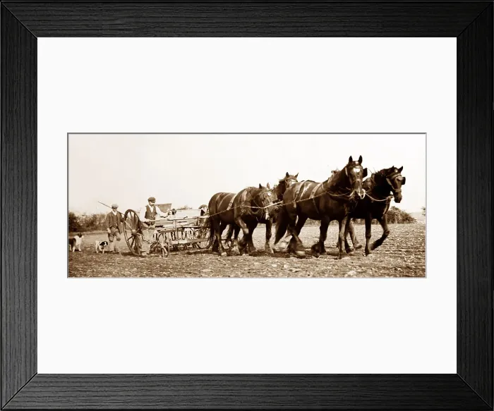 Framed Print : Rural idyll, England, Victorian period Framed Print : Rural idyll, England, Victorian period
