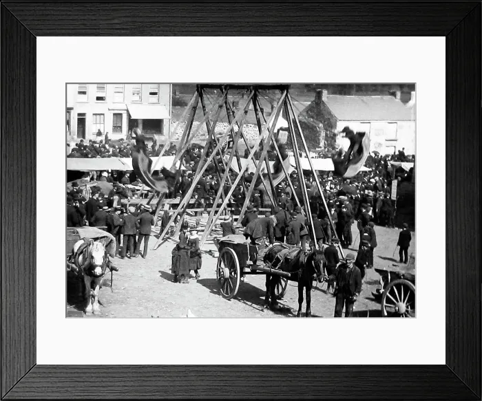Framed Print : May Fair, Ballyclare, Ireland in 1883 Framed Print : May Fair, Ballyclare, Ireland in 1883