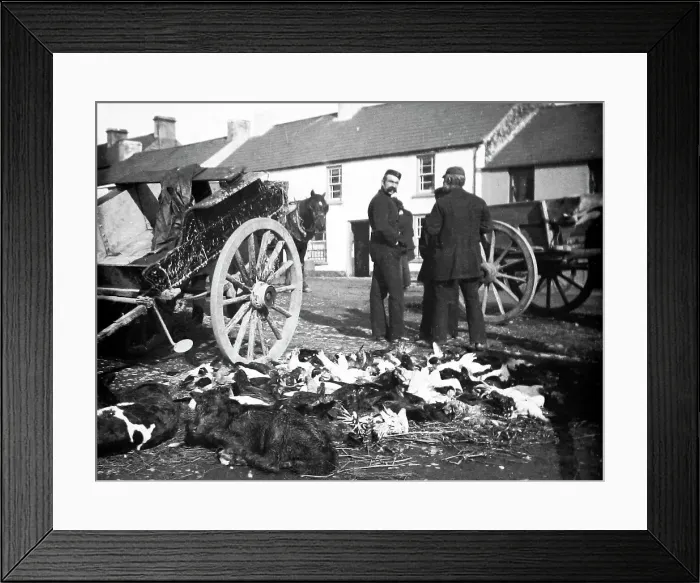 Framed Print : May Fair, Ballyclare, Ireland in 1883 Framed Print : May Fair, Ballyclare, Ireland in 1883