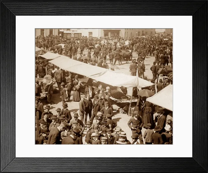 Framed Print : May Fair, Ballyclare, Ireland in 1883 Framed Print : May Fair, Ballyclare, Ireland in 1883