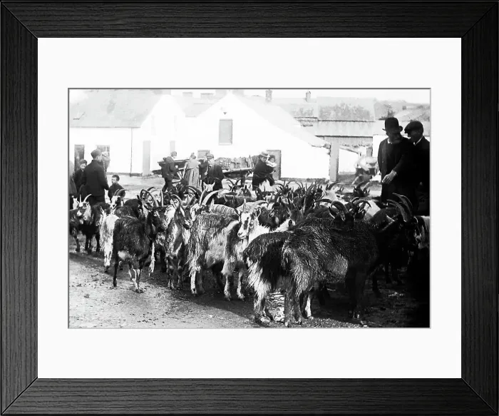 Framed Print : May Fair, Ballyclare, Ireland in 1883 Framed Print : May Fair, Ballyclare, Ireland in 1883