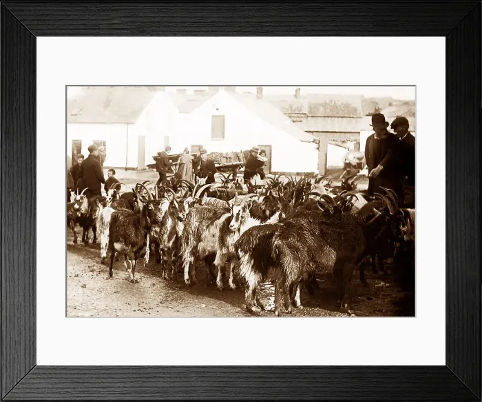 Framed Print : May Fair, Ballyclare, Ireland in 1883 Framed Print : May Fair, Ballyclare, Ireland in 1883