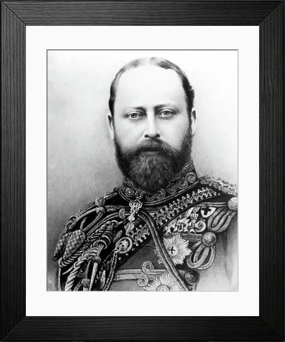 Framed Print : The Prince of Wales (later Edward VII) Framed Print : The Prince of Wales (later Edward VII)