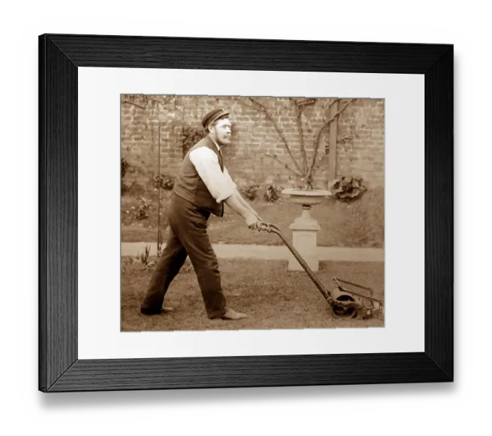 Framed Print : Gardener mowing a lawn with a Thomas Green lawnmower Framed Print : Gardener mowing a lawn with a Thomas Green lawnmower