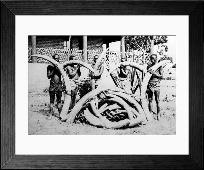 Framed Print : Fort Johnston, Lake Nyasa, Nyasaland, Africa now Malawi Framed Print : Fort Johnston, Lake Nyasa, Nyasaland, Africa now Malawi