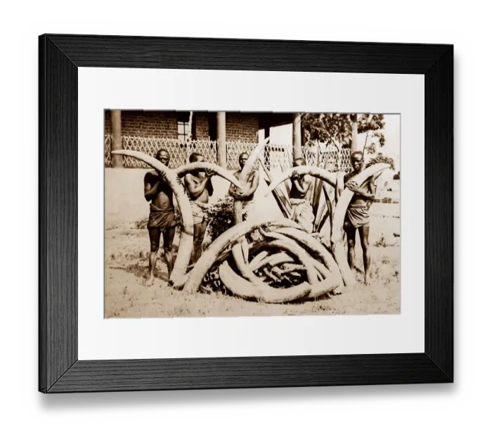 Framed Print : Fort Johnston, Lake Nyasa, Nyasaland, Africa now Malawi Framed Print : Fort Johnston, Lake Nyasa, Nyasaland, Africa now Malawi